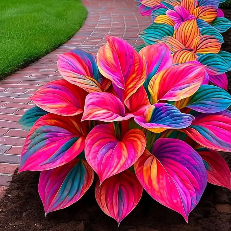 /69d3e9f557271b000a673273/2026/04/14/product-img-69ddede9f707c0639afa46a3.png